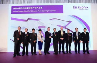 數(shù)千萬(wàn)歐元投資驅(qū)動(dòng)新工廠(chǎng)投產(chǎn)，贏(yíng)創(chuàng)以資產(chǎn)管理策略鞏固有機(jī)硅表面活性劑全球領(lǐng)先地位